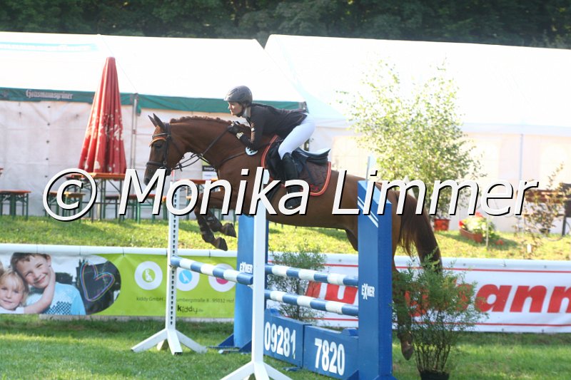 308M9164_Look at Lola_Springpferde A.JPG